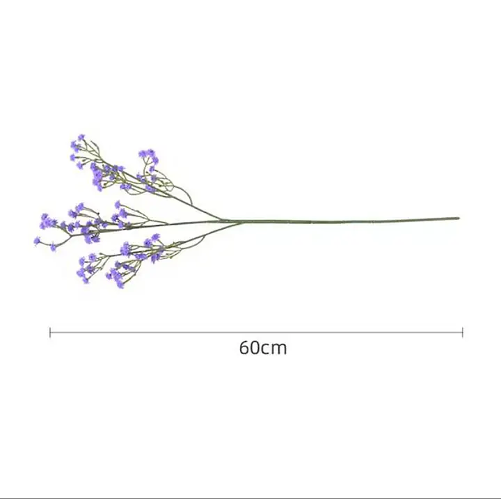 Gypsophila Flower - Master